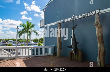 Haie hängen Kunst an Fisherman's Wharf-Punta Gorda Florida-Charlotte County. Am Peace River, Teil des harbourwalk Trail Stockfoto