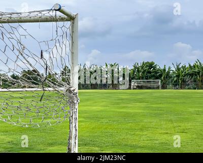 Blick durch das Netz von Fußballtoren auf einen großen Fußballplatz mit einem grünen Rasen, einem Tor gegenüber und Bäumen. Sport, Mannschaftssport Stockfoto