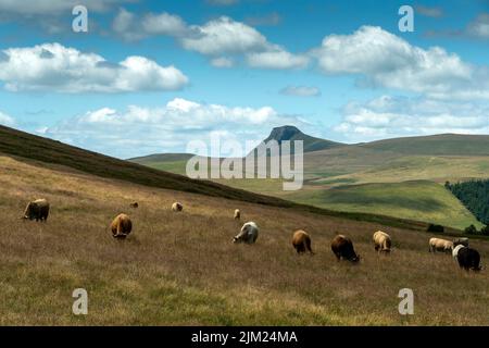 Blick auf Banne d'Ordanche, Regionaler Naturpark der Vulkane der Auvergne, Puy-de-Dome, Auvergne Rhône-Alpes, Frankreich Stockfoto