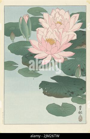 Seerosen. Museum: PRIVATE SAMMLUNG. Autor: OHARA KOSON. Stockfoto