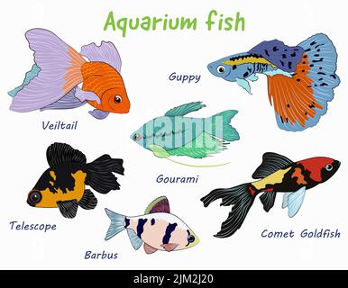 Niedliche Cartoon-Sammlung von hellen Aquarienfischen. Stock Vektor