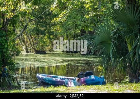 Kajakstart am North Guana Outpost am Guana River in Ponte Vedra Beach, Florida. (USA) Stockfoto