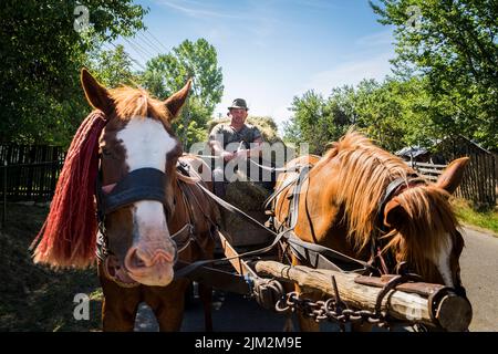 Rumänien, Siebenbürgen, Dorolea, Alltag auf dem Land Stockfoto