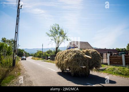 Rumänien, Siebenbürgen, Dorolea, Alltag auf dem Land Stockfoto