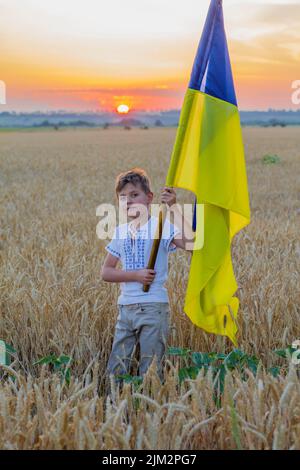 Glücklich lächelnder Junge in nationalen ukrainischen bestickten Hemden halten große gelb-blaue Flagge vor dem Hintergrund der Spitzen von Weizenfeld. Patriotische Bildung Stockfoto