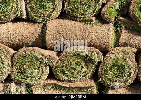 Stapel von gerollten Rasen aus frischem grünen Gras für Landschaftsarbeiten in touristischen Stadt vorbereitet Stockfoto