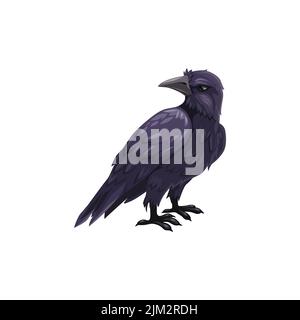 Schwarze Krähe Halloween gruselige Figur, Rabenvögel, Cartoon Vektor Maskottchen mit dunklen Federn, scharfen Krallen und geschlossenen Schnabel. Einzelne Schwarzkrähen-Wildfauna, Stock Vektor