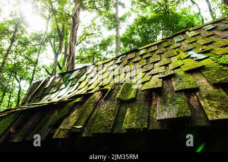 Eine alte Holzhütte in einem tiefen Wald während der Regenzeit wachsen üppiges grünes Moos und Flechten auf dem Holzdach. Selektiver Fokus. Stockfoto