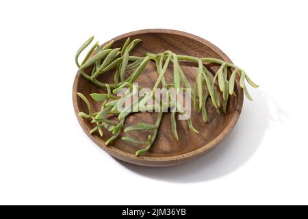 Frisches Meer Fenchel Blätter auf Holzplatte isoliert auf weißem Hintergrund. Crithmum maritimum Stockfoto