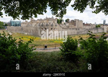 London, Großbritannien. 4. August 2022. UK Weather - Eine allgemeine Ansicht von Superbloom, einer neuen Dauerausstellung von Wildblumen im Graben des Tower of London, die aus über 20 Millionen Samen von 29 Blumenarten gewonnen wurde, die zur Feier des Platin-Jubiläums der Königin gesät wurden. Die Blumen wurden ausgewählt, um eine Vielzahl von Bestäubern anzuziehen, um einen neuen Lebensraum für verschiedene Arten zu schaffen. Da die derzeit ungewöhnlich trockenen Bedingungen mit Dürrewarnungen an bestimmten Stellen andauern, gelingt es einer bescheidenen Sprinkleranlage nur, die Blüten in Blüte zu halten. Kredit: Stephen Chung / Alamy Live Nachrichten Stockfoto