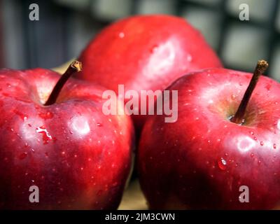 Drei große rote Äpfel der Sorte Red Chief. Wassertropfen auf Früchten. Stockfoto