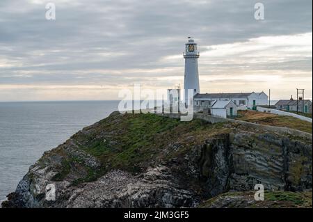 Holyhead, Großbritannien, 7. Juli 2022: West Stack Light House, auch bekannt als Goleudy Ynys Lawd auf Anglesey Island in Wales Stockfoto