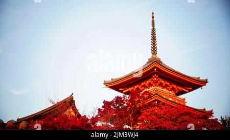 Der Kiyomizu-dera-Tempel in Kyoto, Japan, umgeben von roten Bäumen Stockfoto