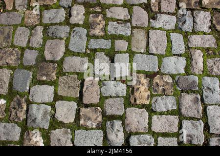 Eine Nahaufnahme von moosiger Pflastersteinoberfläche. Stockfoto