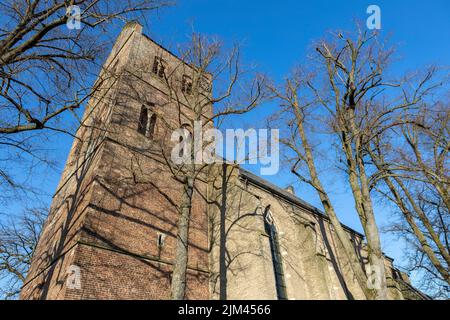 Kirchturm von Christophorus kerk in der Stadt Geesteren von unten gesehen, mit kargen Winterzweigen flankierend Stockfoto