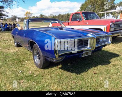 Alte blaue Sport Pontiac GTO zweitürige Cabriolet 1969 auf dem Land. Vorderansicht. Natur, Gras, Bäume. Klassischer Luxus-Muskel-Rennwagen. Stockfoto