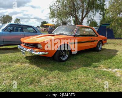 Altes IKA Renault Torino Lutteral Comahue Coupé 1968 - 1978 auf dem Land. Klassisches, orangefarbenes Sport-Kompaktauto. Seitenansicht. Natur, Gras, Bäume. Copyspace Stockfoto