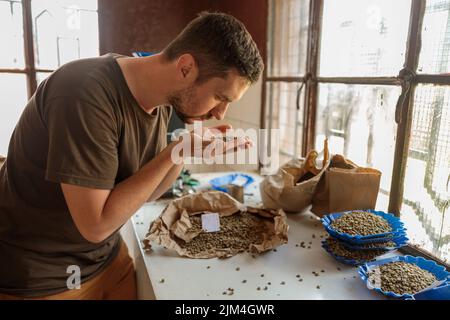 Professioneller Q-Grader für Männer, der die Qualität des Kaffees in der Produktion überprüft Stockfoto