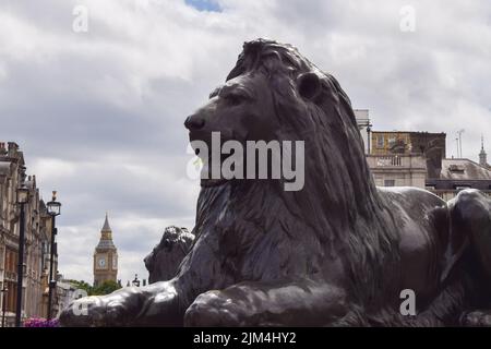 Löwenstatue an Nelson's Column auf dem Trafalgar Square. London, Großbritannien 3.. August 2022. Stockfoto