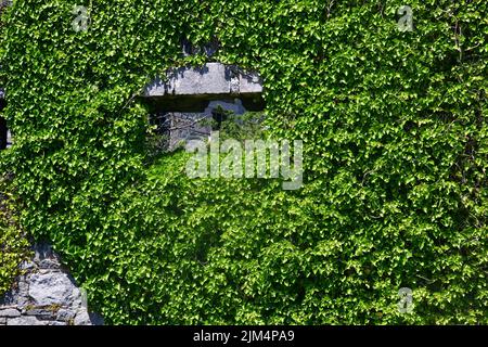 In viktorianischer Zeit als eine beträchtliche Festung erbaut Fort Tourgis wurde von den deutschen Streitkräften während des Zweiten Weltkriegs, Alderney, Channel Island, als Verteidigungseinrichtung genutzt Stockfoto