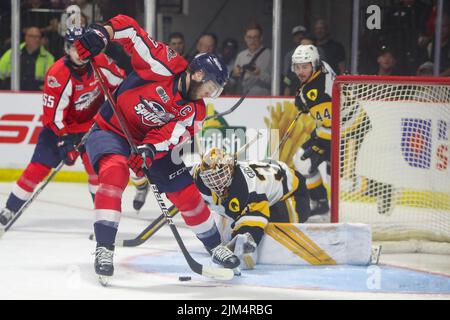 Jun 13 2022 Windsor Ontario Canada, Windsor Spitfires besiegte die Hamilton Bulldogs 5-2, um ein Spiel 7 zu zwingen. Will Cuylle (13) von den Windsor Spitfires.(Bearbeiten Stockfoto