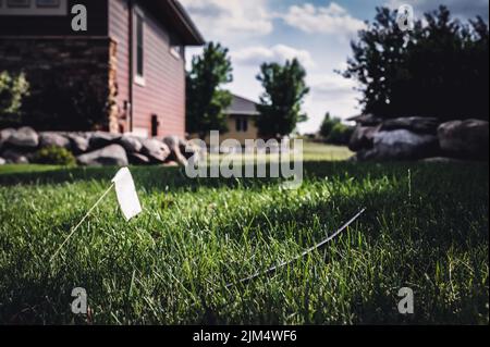 Glasfaserkabel, das im Gras liegt und bereit ist, in einem Wohnhaus installiert zu werden. Stockfoto