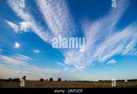 Ungewöhnliche Landschaft mit Cirrus Cumulus Wolken vor dem Hintergrund von Feldern mit Bäumen am Horizont. Stockfoto