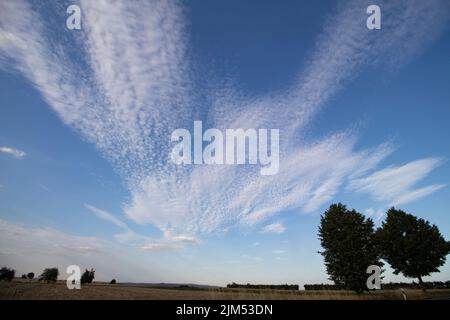 Ungewöhnliche Landschaft mit Cirrus Cumulus Wolken vor dem Hintergrund von Feldern mit Bäumen am Horizont. Stockfoto