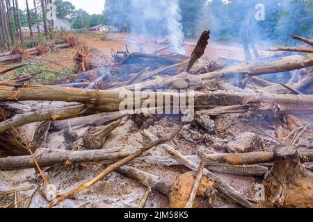 Wälder werden während des Prozesses der Erschließung von Bauland entwurzelt und dann verbrannt, um Platz für eine neue Entwicklung zu schaffen Stockfoto
