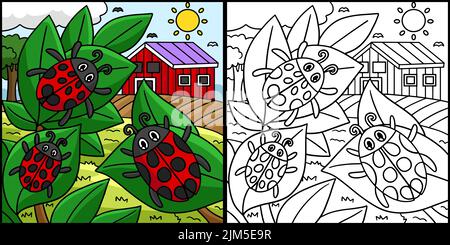 Ladybug Coloring Page Farbige Illustration Stock Vektor