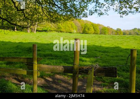 Offenes Ackerland neben dem Dorf Monton Eccles Manchester Holzstiele, die ins Feld führen Stockfoto