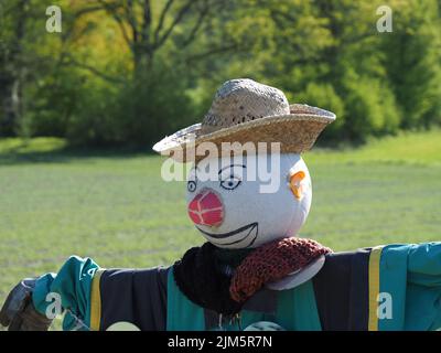 Nahaufnahme einer Vogelscheuche auf dem Feld Stockfoto