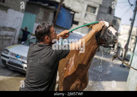 Gaza, Palästina. 4. August 2022. Ein Palästinenser kühlt sein Pferd inmitten der schweren Hitzewelle im nördlichen Gazastreifen ab. (Bild: © Mahmoud Issa/SOPA Images via ZUMA Press Wire) Stockfoto