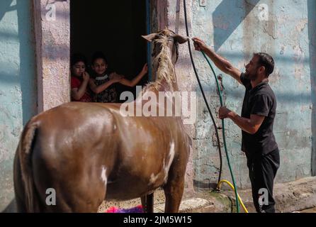 Gaza, Palästina. 4. August 2022. Ein Palästinenser kühlt sein Pferd inmitten der schweren Hitzewelle im nördlichen Gazastreifen ab. (Bild: © Mahmoud Issa/SOPA Images via ZUMA Press Wire) Stockfoto