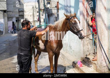 Gaza, Palästina. 4. August 2022. Ein Palästinenser kühlt sein Pferd inmitten der schweren Hitzewelle im nördlichen Gazastreifen ab. (Bild: © Mahmoud Issa/SOPA Images via ZUMA Press Wire) Stockfoto