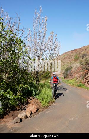 Ein Radsportler in einer roten Jacke, der in La Palma, Kanarische Inseln, die Landschaft entlang fährt Stockfoto