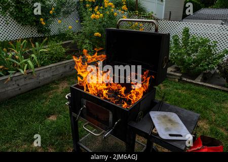 Helles Brennen in Metallkästchen Protokolle Brennholz für Grill im Freien an sonnigen Tag. Orange hohe Flamme und weißer Rauch auf verschwommenem blauen Himmel und grünem Gras Stockfoto