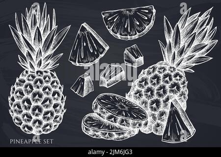 Früchte handgezeichnete Vektor-Illustrationen-Kollektion. Kreide Ananas. Stock Vektor