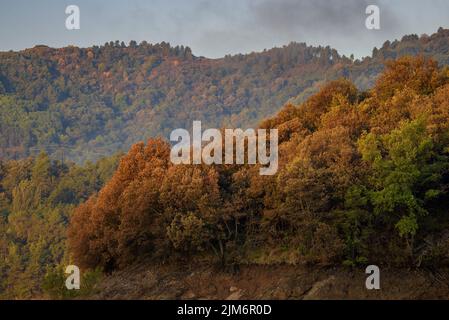 Sonnenaufgang am Baells Stausee während der Sommertrockenheit von 2022 (Berguedà, Barcelona, Katalonien, Spanien) ESP: Amanecer en el embalse de la Baells Stockfoto