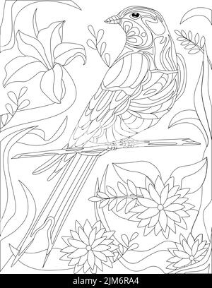 Malbuch Seite Mit Stehen Auf Baum Papagei Mit Verschiedenen Blumen Im Hintergrund. Blatt, Das Mit Exotischem Vogel Auf Zweig Gefärbt Werden Soll. Farbenfroh Stock Vektor