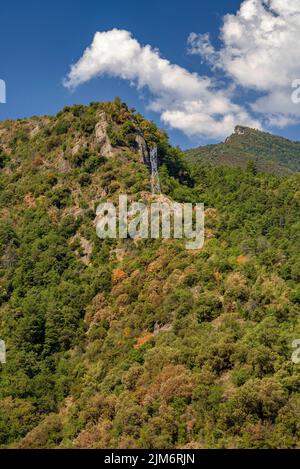 Bäume, die sich aufgrund der Sommertrockenheit von 2022 im Baells-Stausee färben (Berguedà, Barcelona, Katalonien, Spanien) Stockfoto