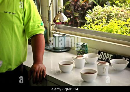 Tassen mit Tee zur Qualitätskontrolle in der Sabah Teefabrik, der Verarbeitungsanlage für Materialien, die aus der Bio-Teehaus gewonnen werden, einem Teil des Sabah Teegartens in Sabah, Malaysia. Stockfoto