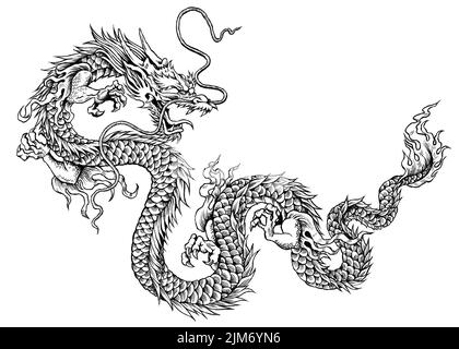 Eine digitale schwarz-weiße Tattoo-Illustration eines Drachen Stockfoto