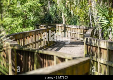 Wanderweg erhöhte Promenade am Cradle Creek Preserve führt zur Pablo Creek Mündung entlang des Intracoastal Waterway in Jacksonville Beach, FL. Stockfoto