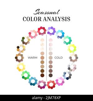 Saisonale Farbanalyse-Wheel-Palette mit kalten und warmen Farben und Hautfeldern Stock Vektor