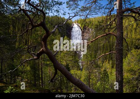 Henfallet Wasserfall in Tydal Berge im Sommer Look. Große und hohe Wasserfälle im borealen Wald Norwegens. Stockfoto