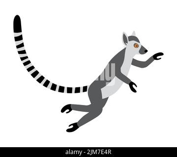 Nette lustige Ringschwanz Lemur springt. Exotische Lemur catta. Vektor-Illustration in Cartoon und flachen Stil Stock Vektor