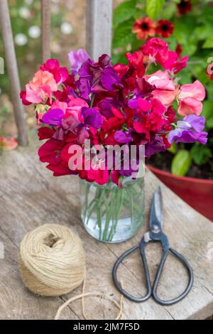Lathyrus odoratus. Schneiden Sie süße Erbsenblumen in einem Glasgefäß auf einem Holzsitz mit Garn und einer Schere. VEREINIGTES KÖNIGREICH Stockfoto