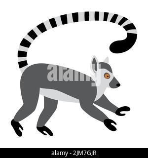 Niedlicher witziger Ringschwanz-Lemur. Exotische Lemur catta. Vektor-Illustration in flach und Cartoon-Stil Stock Vektor