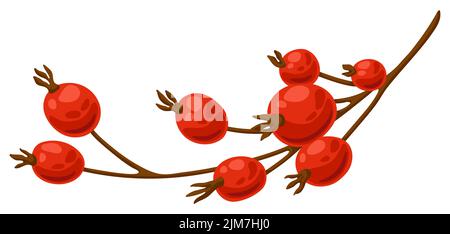 Illustration eines Zweiges mit Hagebutten. Bild der saisonalen Herbstpflanze. Stock Vektor